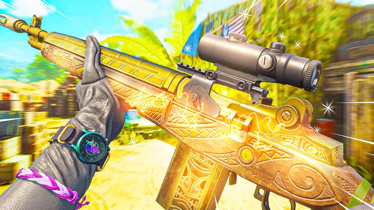 Now replacing ALL Tactical Rifles in Cold War! (Best DMR 14 Class Setup)