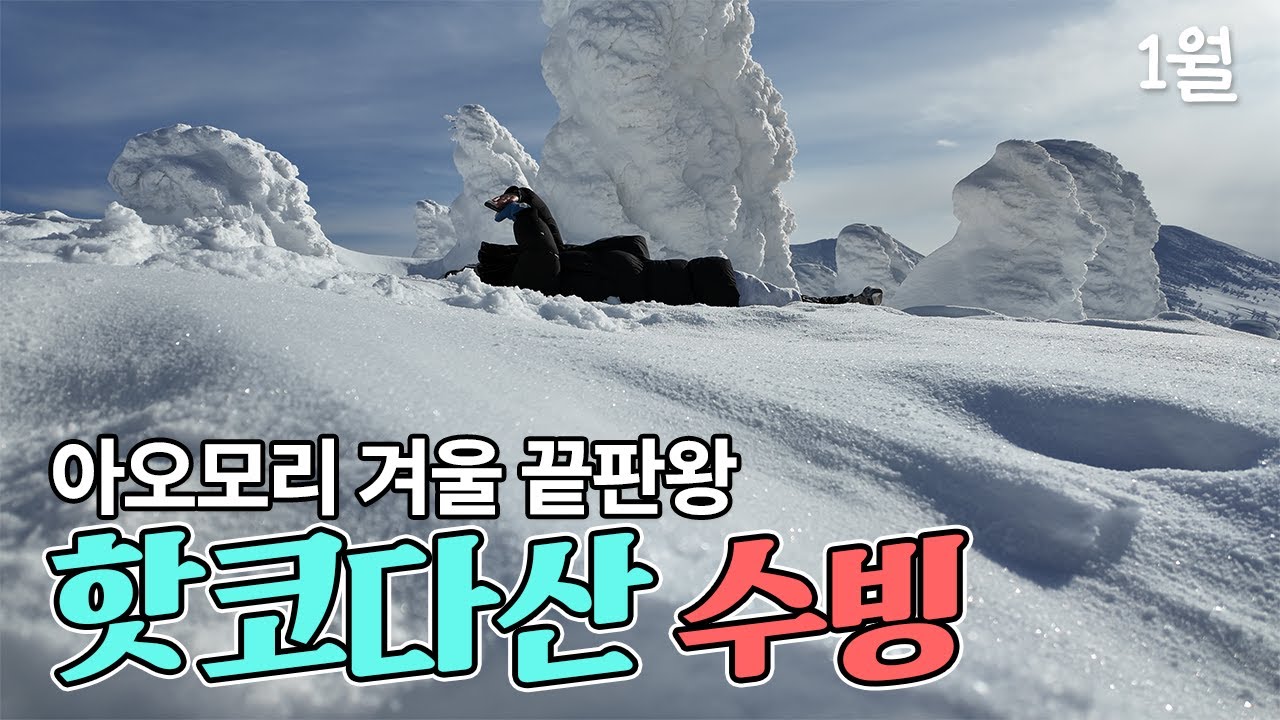 나무가 몬스터로 변신?[아오모리 2] 핫코다산 수빙 스노우몬스터 로프웨이 케이블카 | 놋케동 카이센동🇯🇵