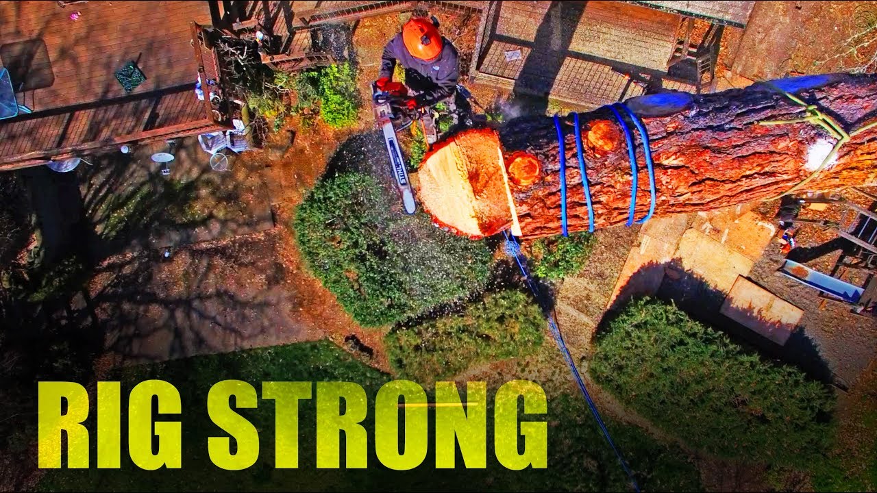 Tree Work with Strong Rigging