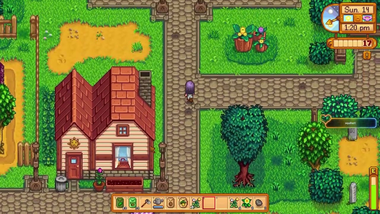 More Random Stardew I found