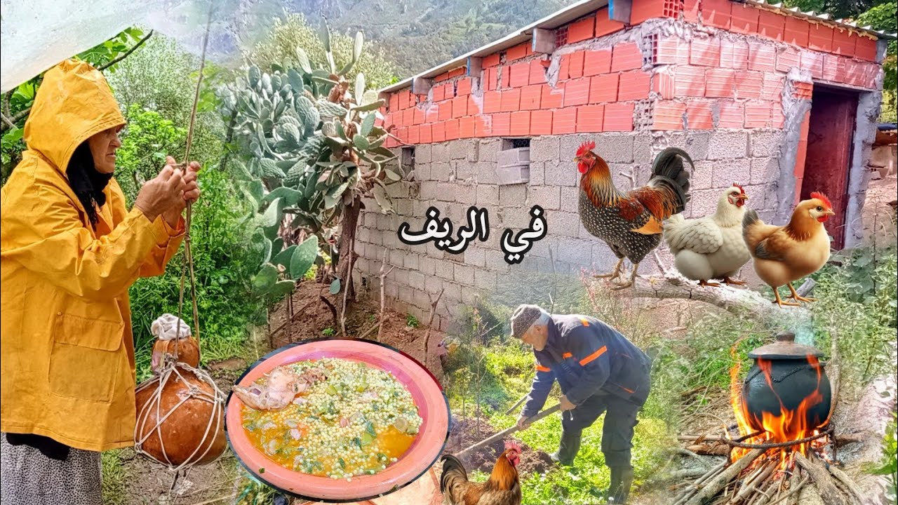 أجواء الربيع مع العائلة الريفية في جبال الجزائر  | زرع وطبخ وتربية الحيوانات #cooking #countryside