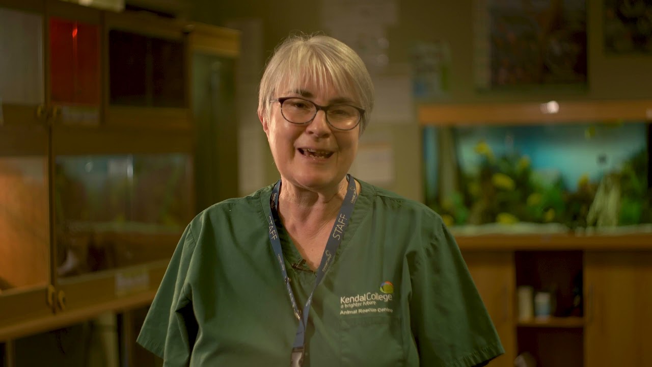 Foundation Degree in British Animal Management & Wildlife Rehabilitation