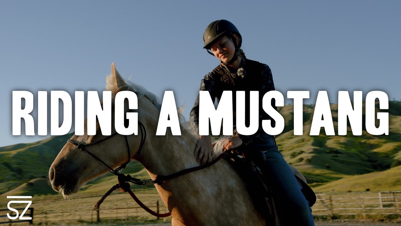 How to Train A Mustang: Halter Basics & First Ride Tips
