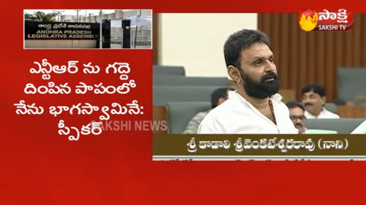 AP Minister Kodali Nani Speech about Ration Rice | AP Assembly Winter Session 2019-
