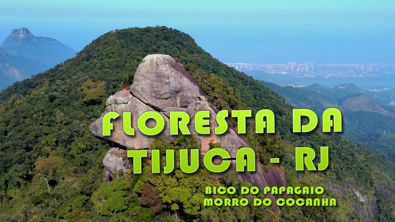 Floresta da  Tijuca  -  Cinematic 4K Drone Footage 🇧🇷