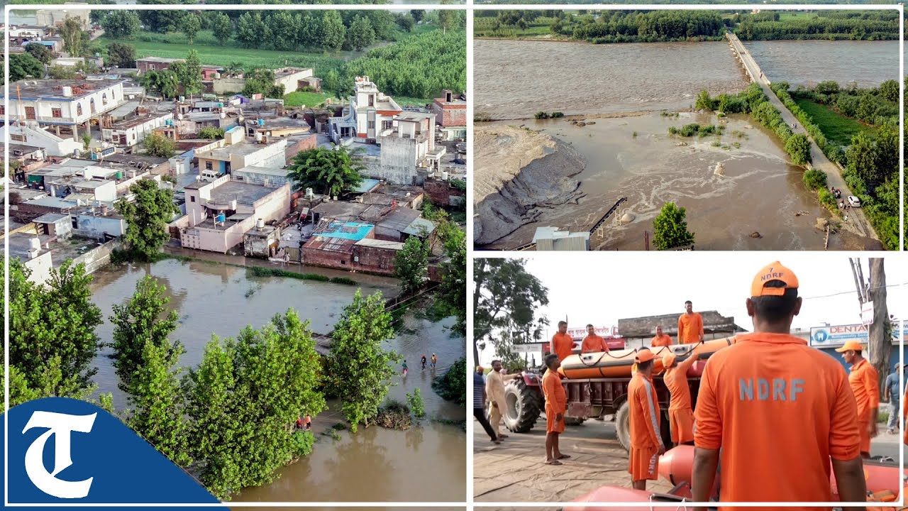 Punjab: Flood-like situation in Gurdaspur, NDRF teams continue rescue operations