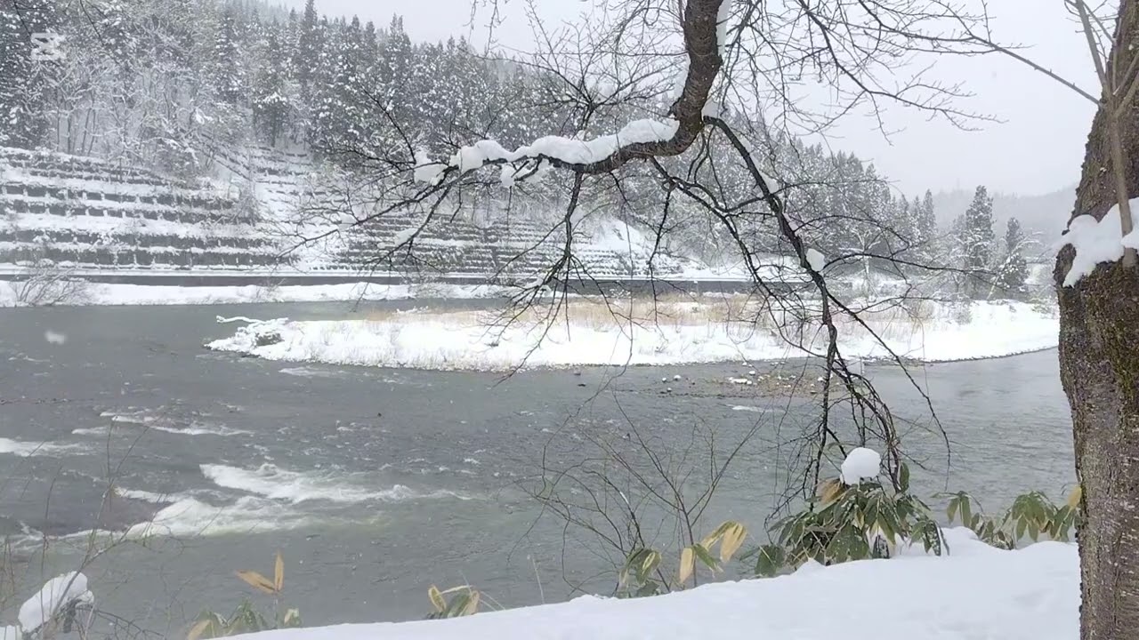 Snowy Flow of the Mogami River｜雪舞う昼の最上川・白鷹町