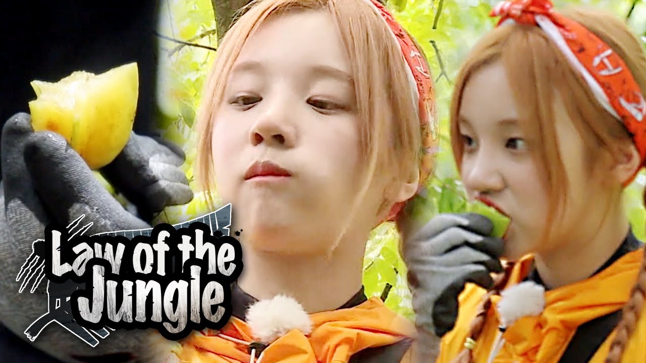 Yuqi's Star Fruits Mukbang [Law of the Jungle Ep 380]