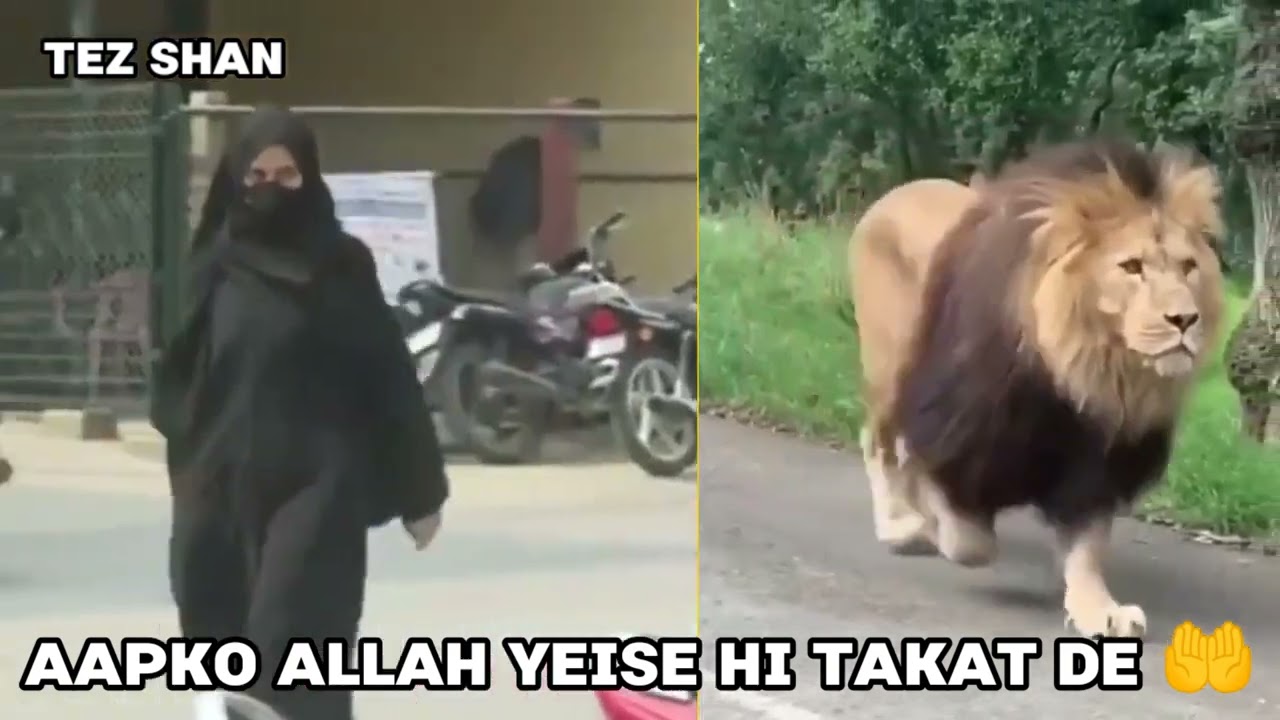 muskan Khan status muslim girl attitude status brave hijab whatsapp status#hijab