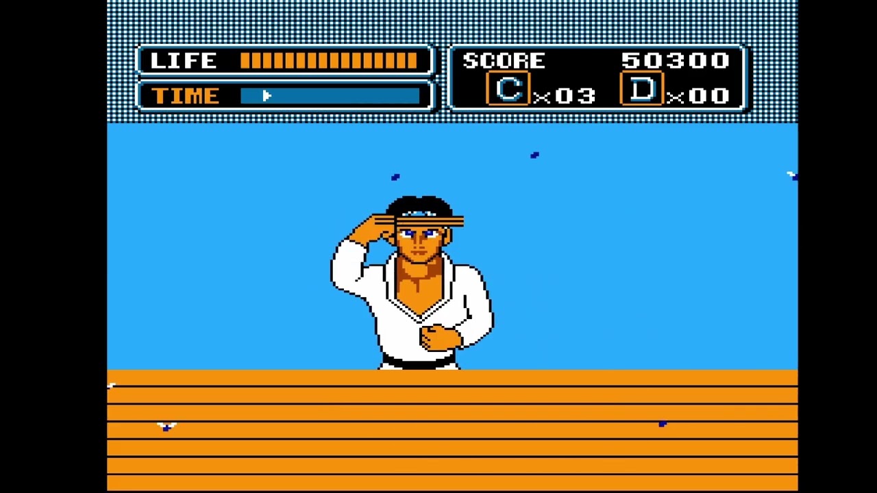 Retro NES - The Karate Kid!