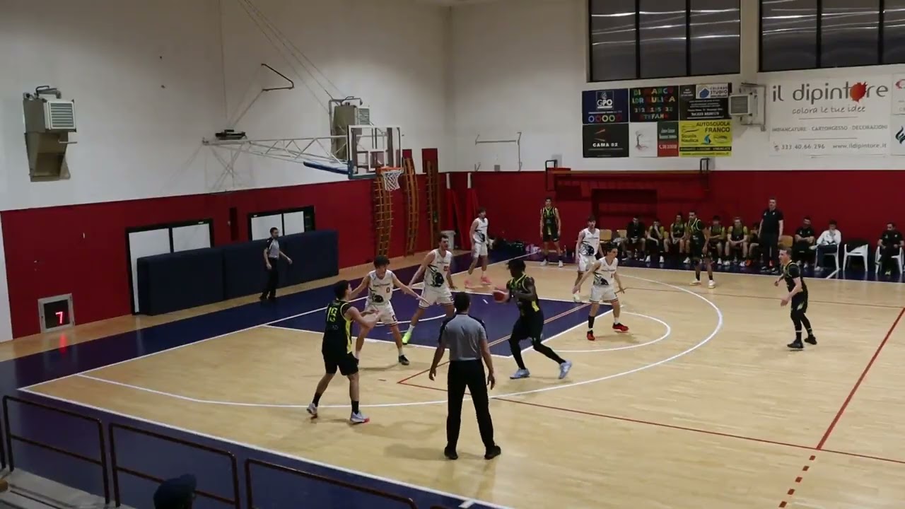 Fortitudo Busnago vs Viadana Basket 11^ giornata  di ritorno sintesi partita