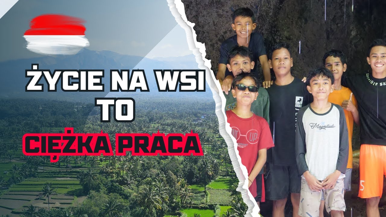 JAK WYGLĄDA PRAWDZIWE WIEJSKIE ŻYCIE W INDONEZJI. JAK UPRAWIA SIĘ RYŻ? TETEBATU. LOMBOK 🇮🇩