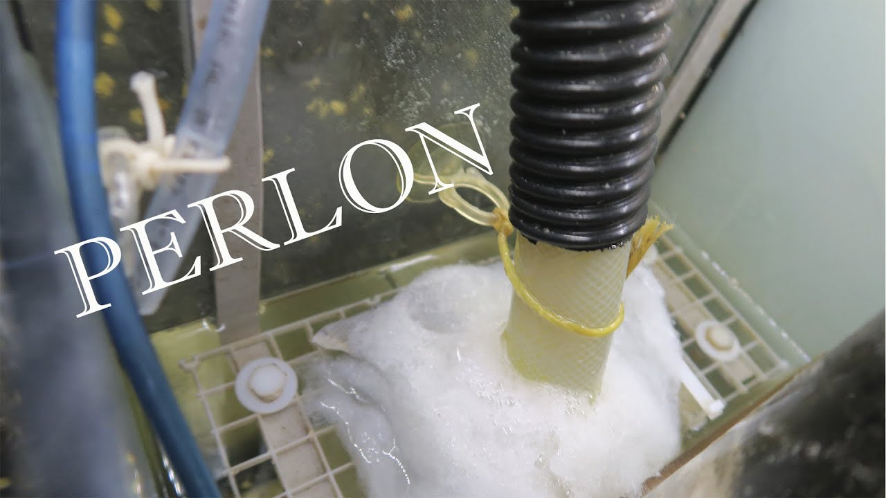 📣📣 Vlog Acuario 3| Brico DIY en el sump del acuario marino para instalar perlón
