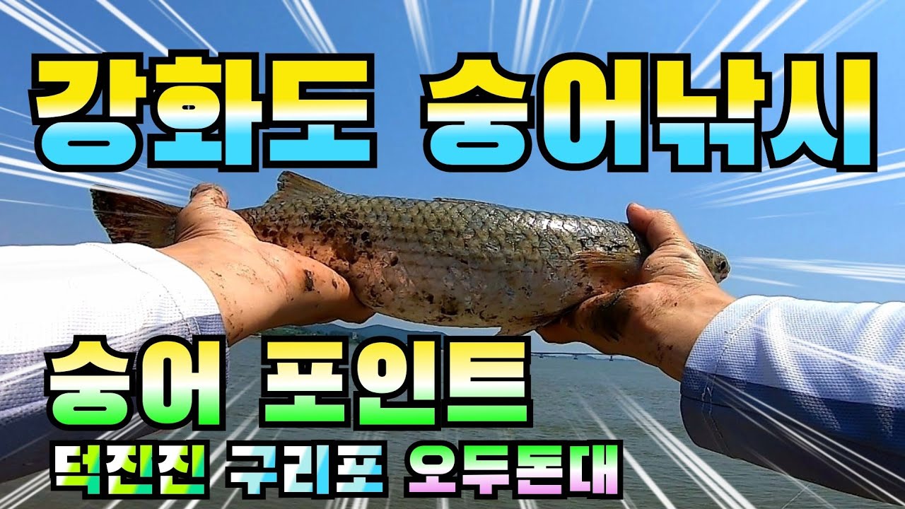 강화도 숭어 낚시 / 숭어 포인트 탐사 / 덕진진 구리포 오두돈대 / Mullet fishing