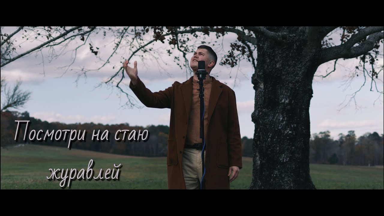 Посмотри на стаю журавлей - Зов Спасения || Call of Salvation.