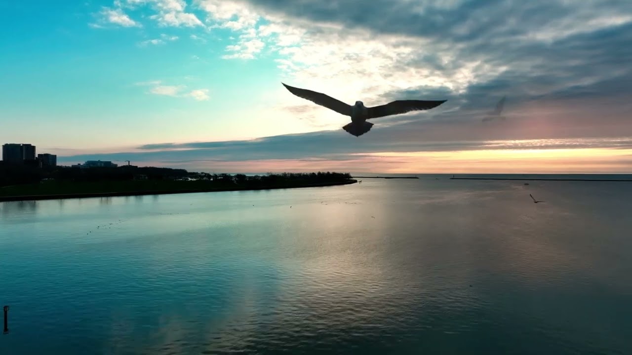 Meditation in Nature - Healing Waves for Calming, Stress Relief, Sleep and Deep Relaxation Music
