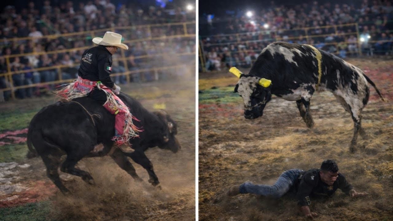 Desde la venta Rancho el Tigre  en vivo