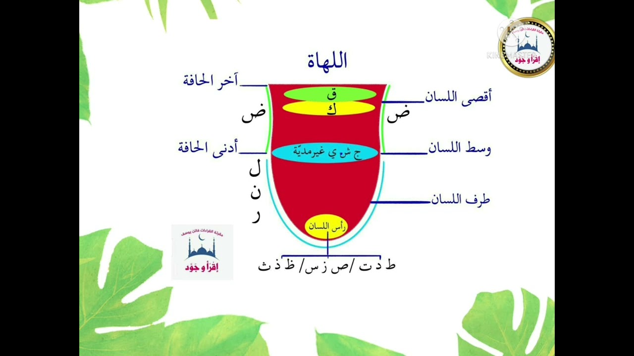 مخرج اللسان. مقرئة القراءات فاتن يوسف