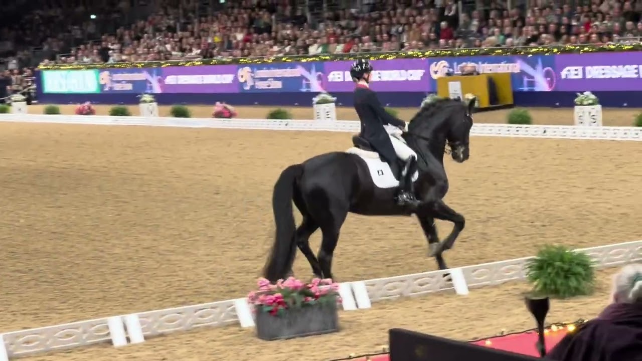Glamourdale winning dressage to music freestyle 19th dec 2025, London International Horse Show 