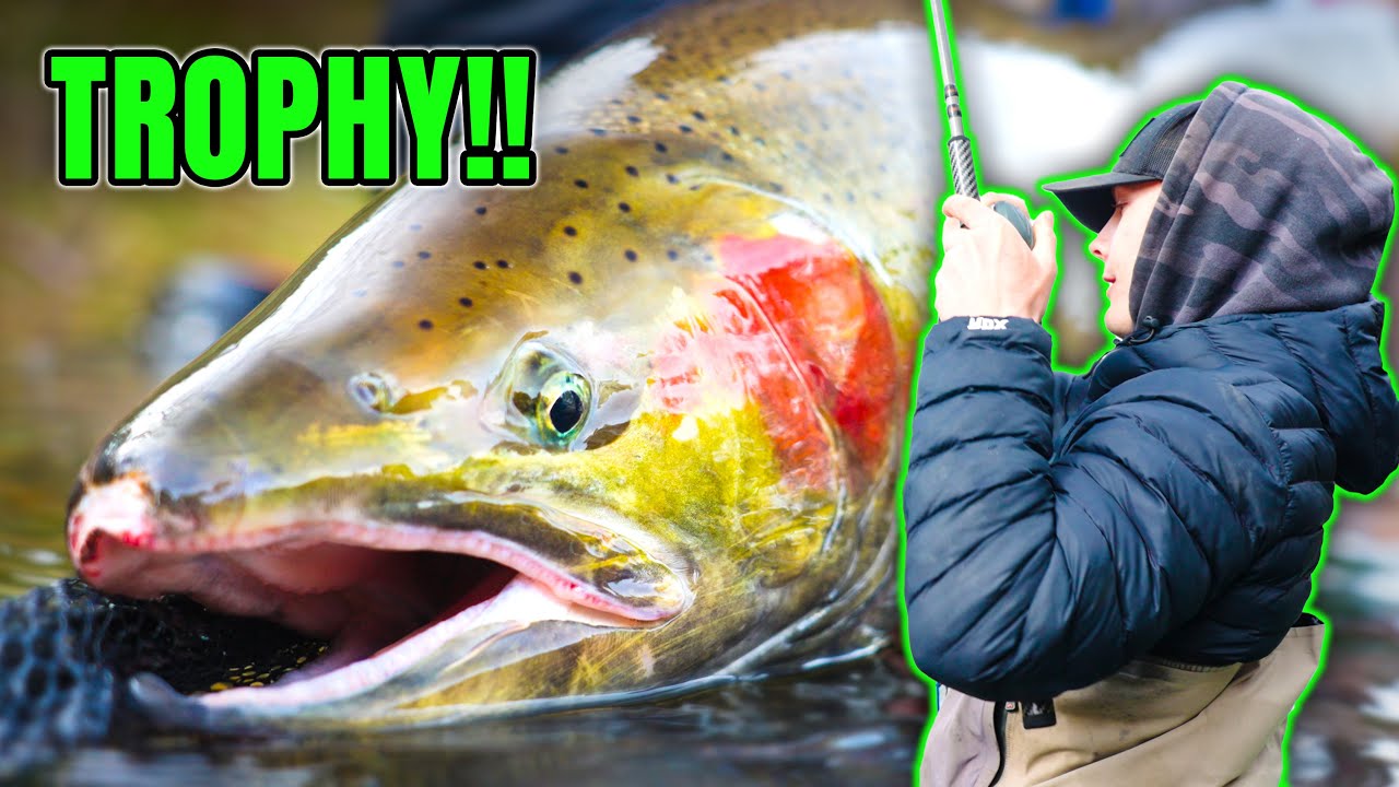 We Hooked Some MONSTERS! Late Winter Steelhead Fishing In The Jet Boat.