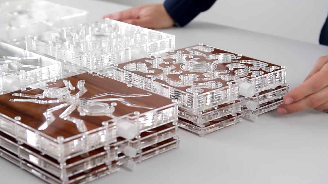 ANTCUBE Acrylglas Plattenformicarien