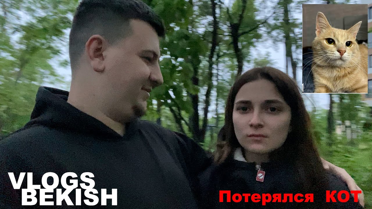 Кот потерялся