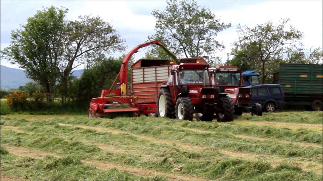 silage 2015