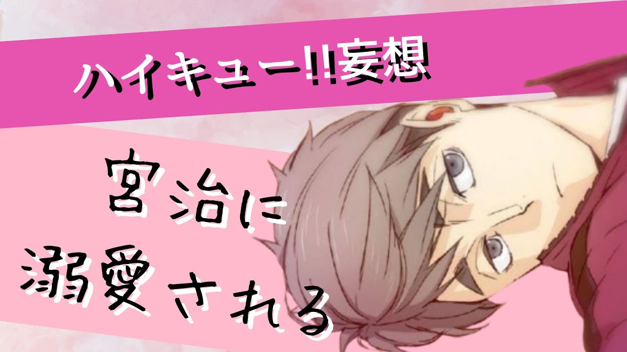 ハイキュー!!妄想★宮治に溺愛される