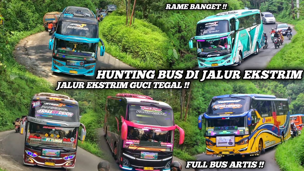 FULL TELOLET BASURI !! HUNTING BUS DI JALUR EKSTRIM GUCI TEGAL || FULL BUS ARTIS