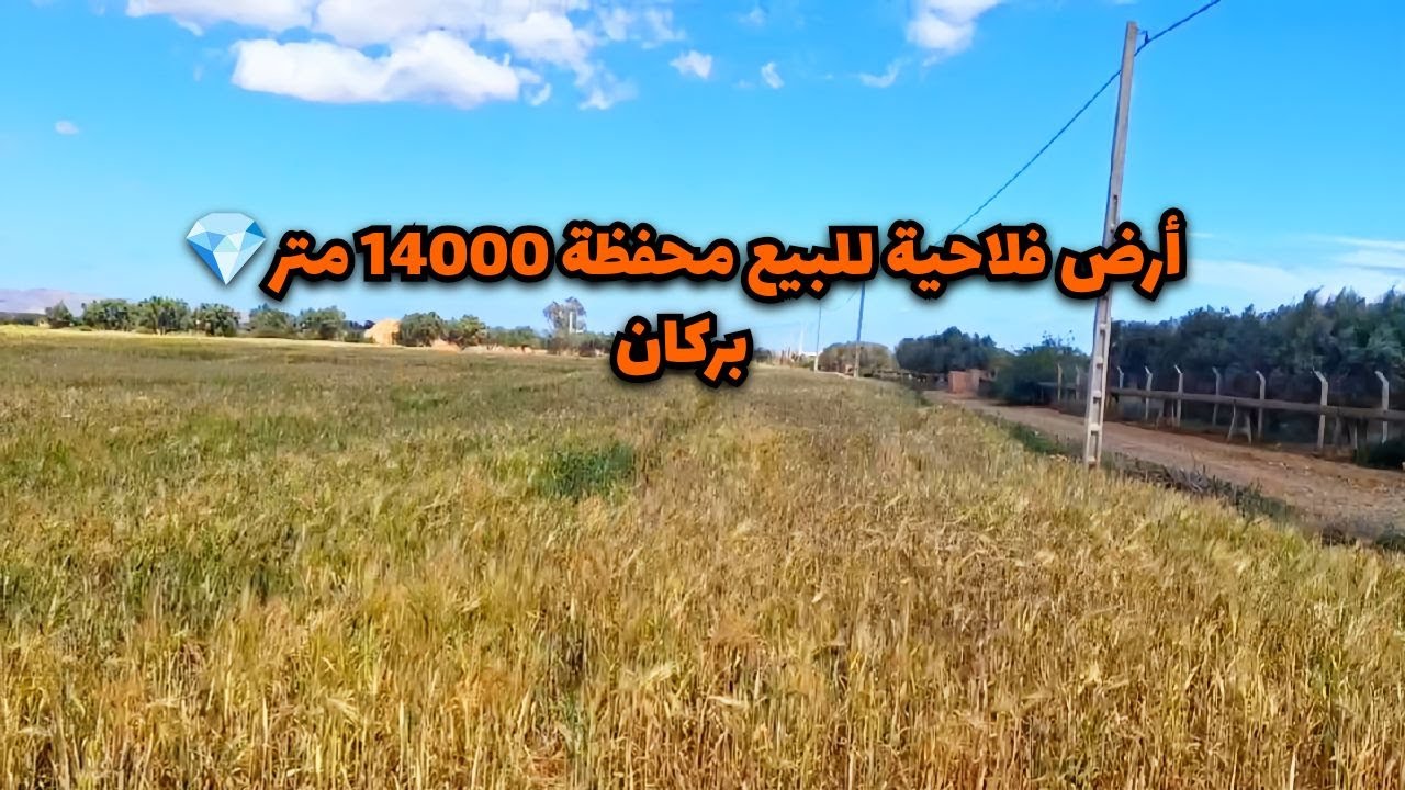 ارض فلاحية للبيع محفظة 💎 بركان   #فلاحة #المغرب #بركان#berkane #mubawab