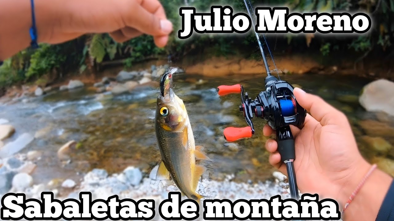 Pesca de sabaletas de montaña en julio Moreno 🇪🇨