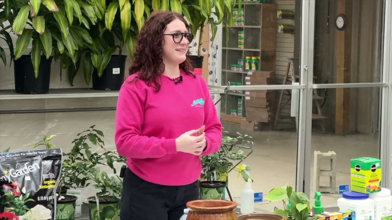 FEBRUARY 21 2026 TROPICALS & AIR PLANTS 720P