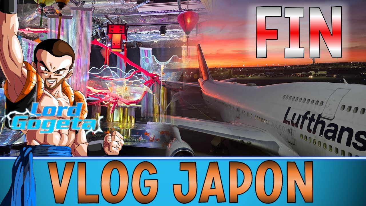 #12 VLOG JAPON : Dernier jours, Départ pour la France 