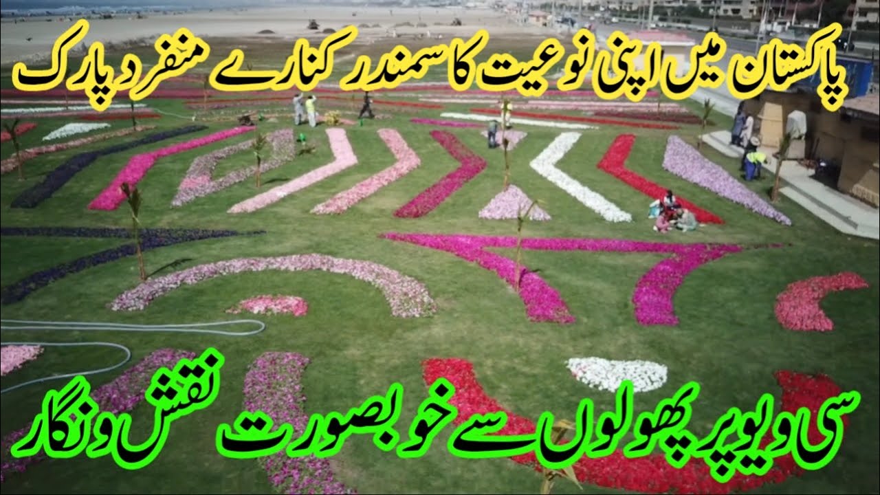 Karachi Sea View Perk | Beautiful Flowers at Sea View | Karachi Beauty | Photojournalist Diary