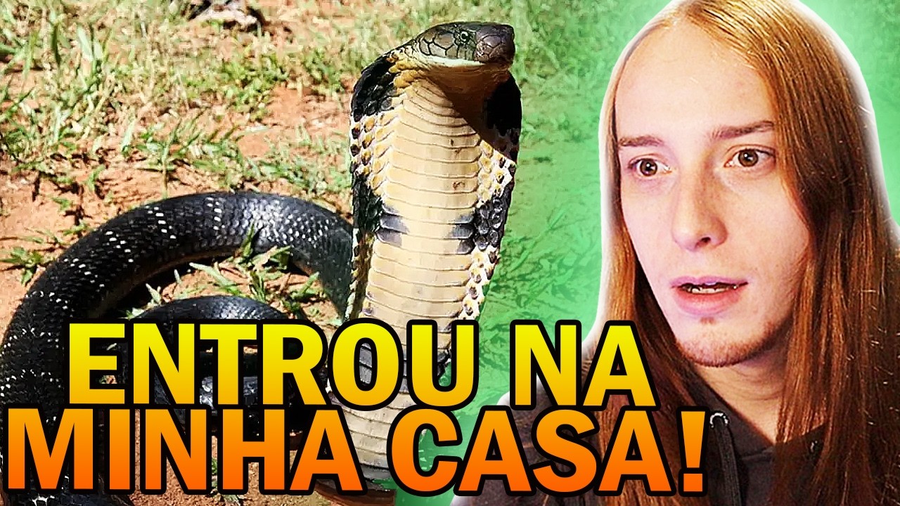 DARK ESTÁ COM MEDO DA PICADA DA COBRA!