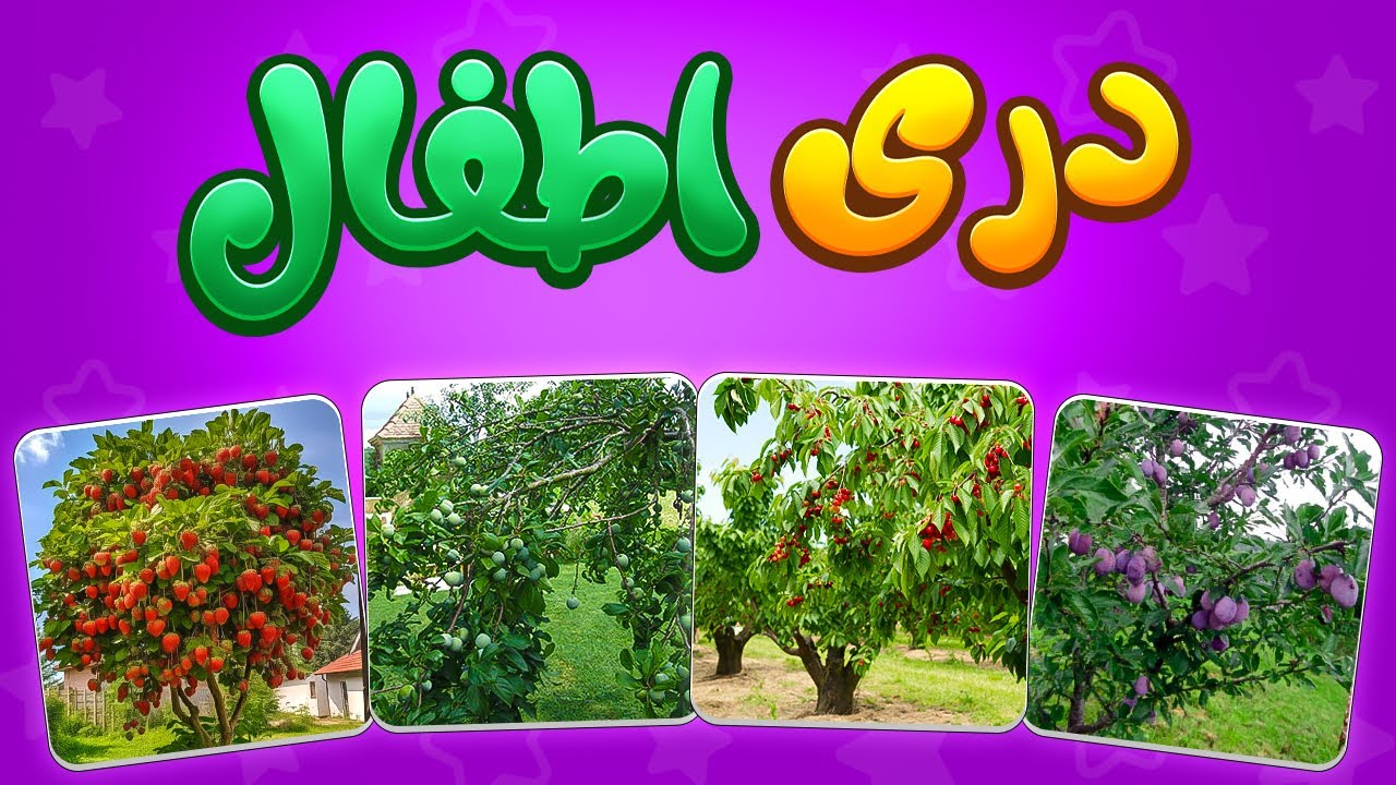 12 months of the year for kids in Dari language  12 ماه سال برای اطفال به زبان دری