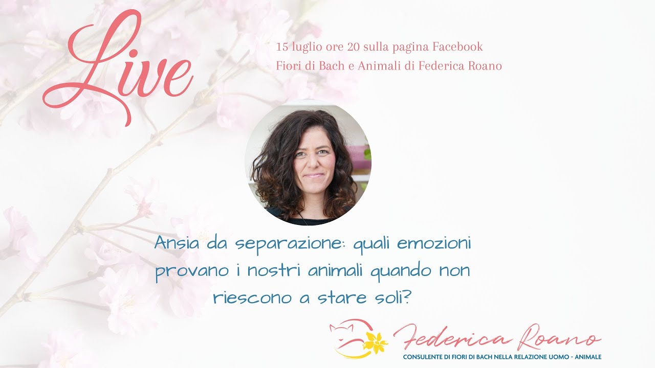Parliamo di... ansia da separazione!