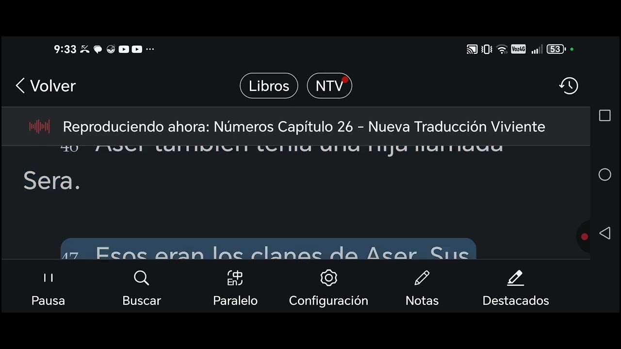 17 Febrero - Números 25,26,27