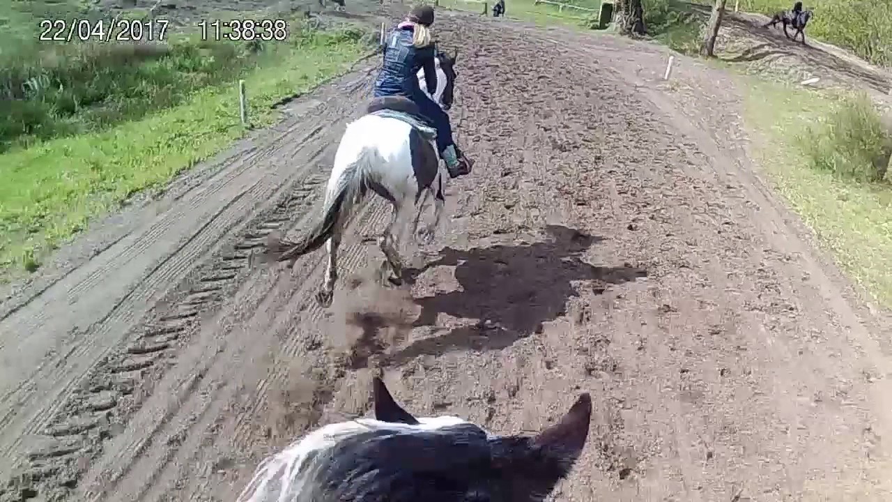 westerkwartier paardenvertier capcam clip