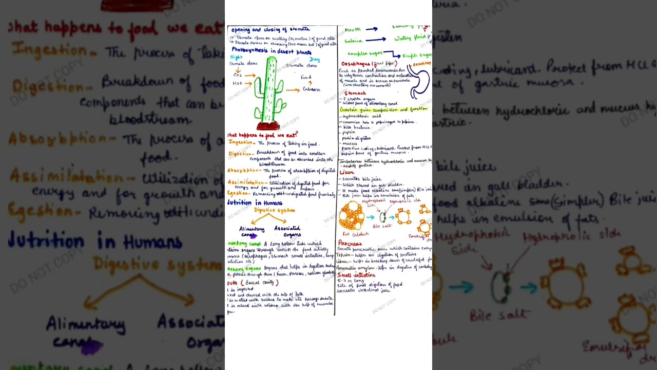 Biology notes*life processes*🔥