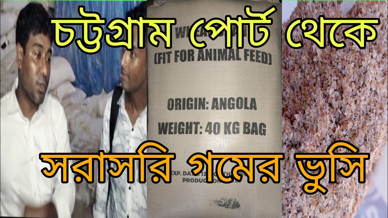 এল সি গমের ভুসি।পোট থেকে ক্রয় করবেন?#DORB# fish meal #