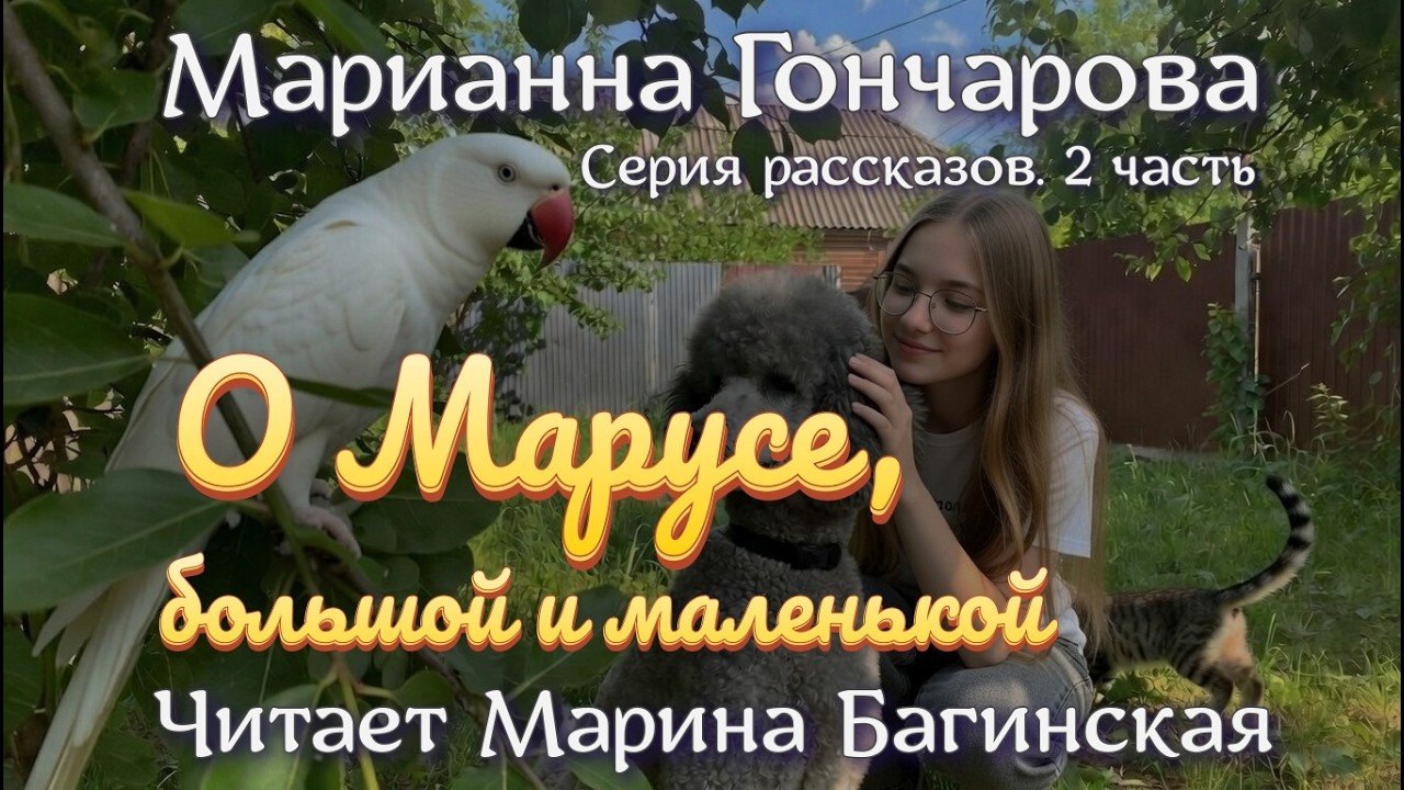 Марианна Гончарова Серия рассказов 