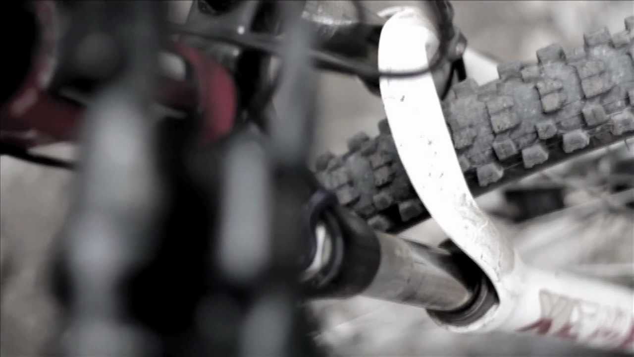 Mountain Biking - Bedgebury Singletrack