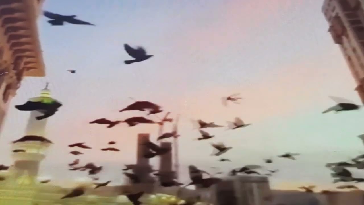 أسماء الله الحسنى