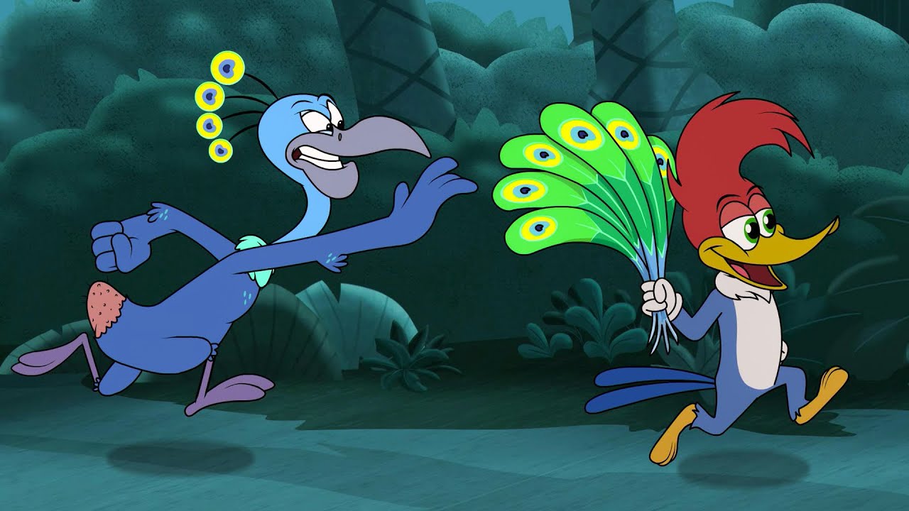 Nada de roubar penas! | Carnaval | Pica-Pau em Português