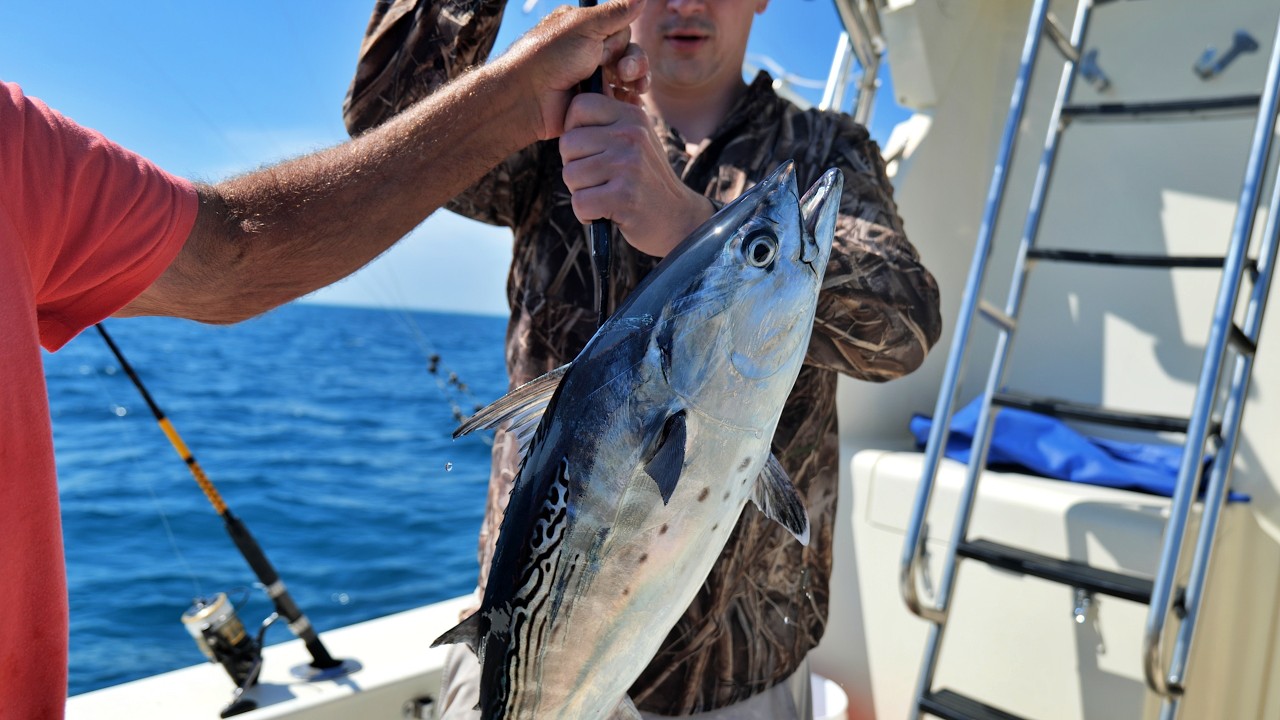 We tried Deep Sea Fishing in the Florida Keys!!!