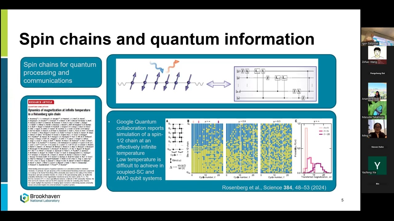 RCQM/FCMP: Igor A. Zaliznyak: High-temperature quantum coherence in a rare-earth spin chain
