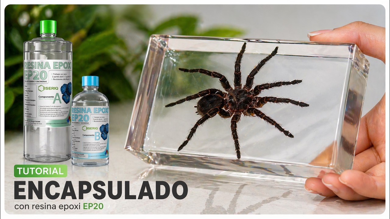 &iquest;C&oacute;mo Encapsular Insectos Reales en Resina Epoxi💥SIN PULIDORA💥?