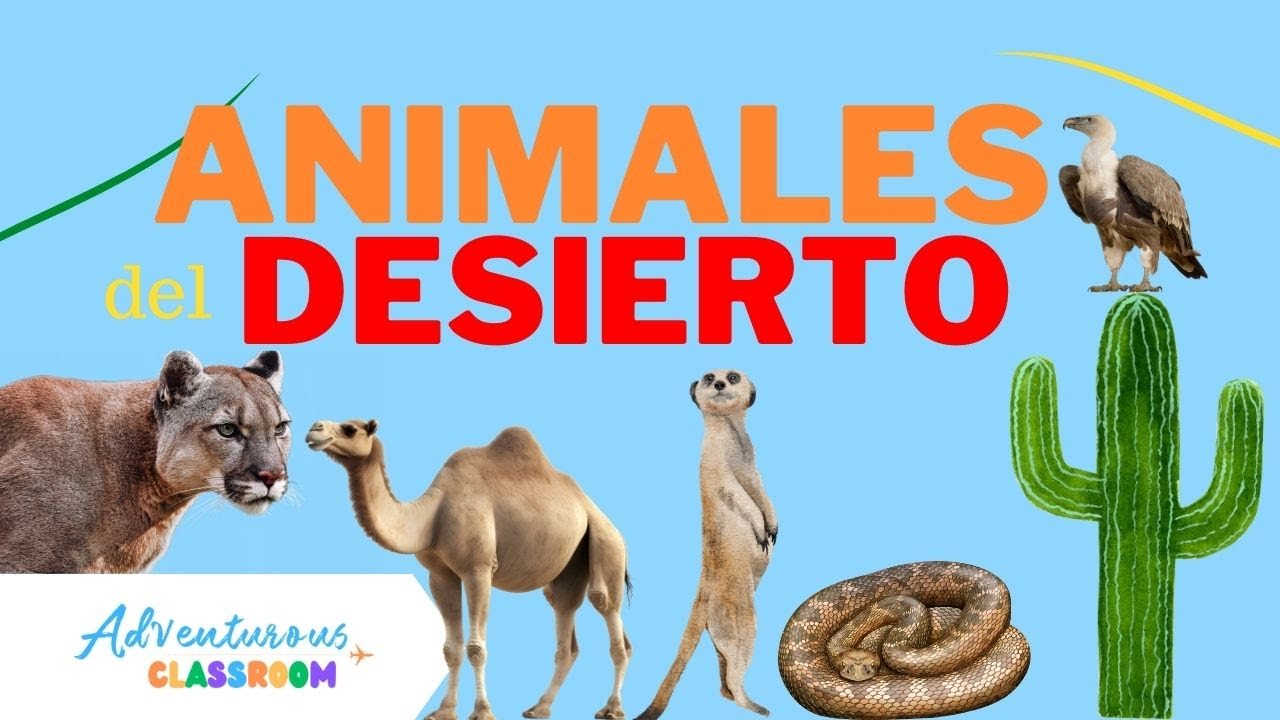 Animales del Desierto Animales español para niños/Desert Animals for kids/Learn Spanish