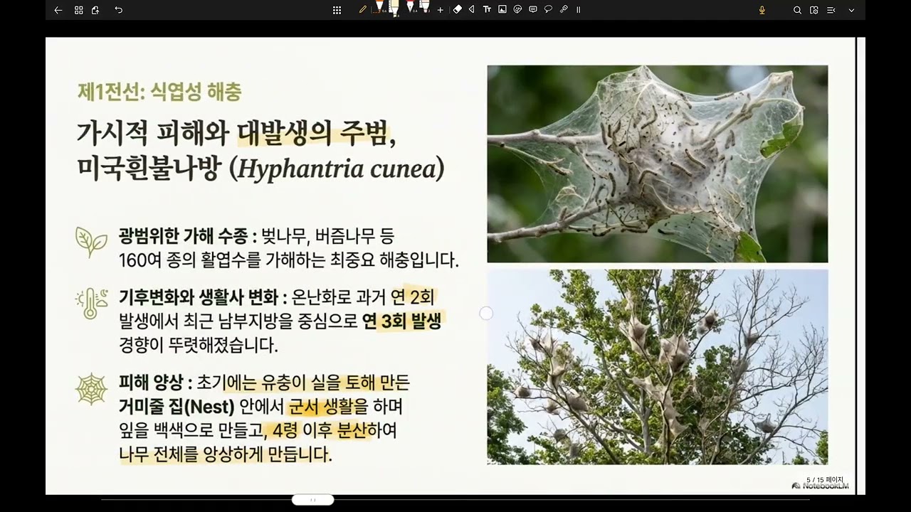 조129-가로수 해충 방제 방법별 상세 안내-미국흰불나방,벚나무사향하늘소,버즘나무방패벌레